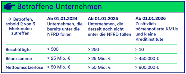 Berichtspflichtige Unternehmen Tabelle
